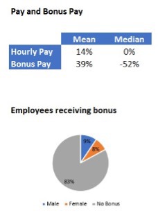 Pay and Bonus